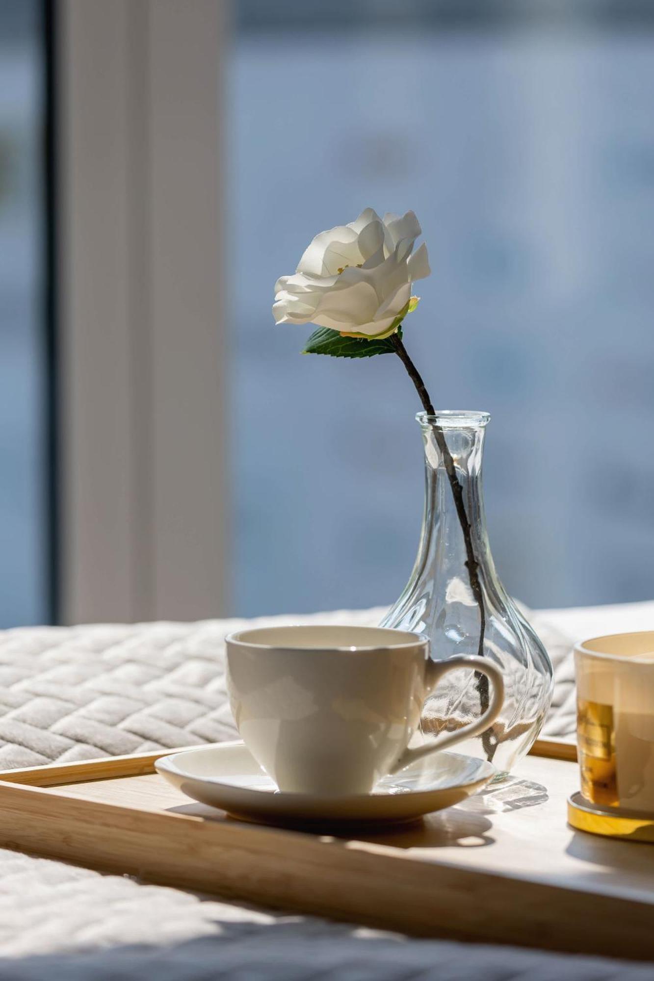 Sloneczna Comfy With Balcony & Parking By Renters Katowice